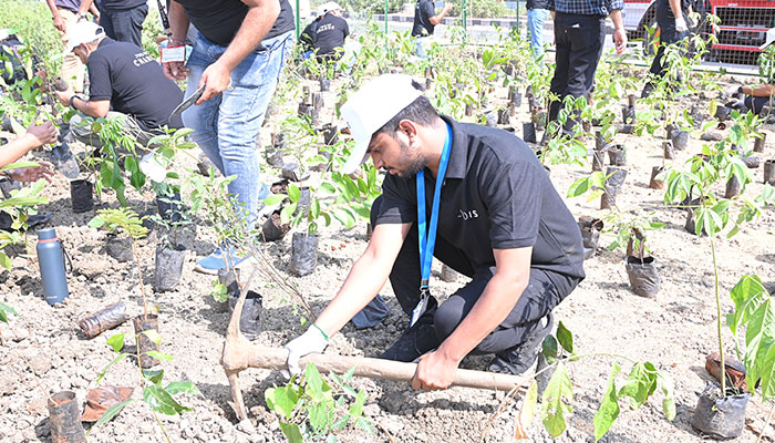 Plantation Drive in Ahmedabad