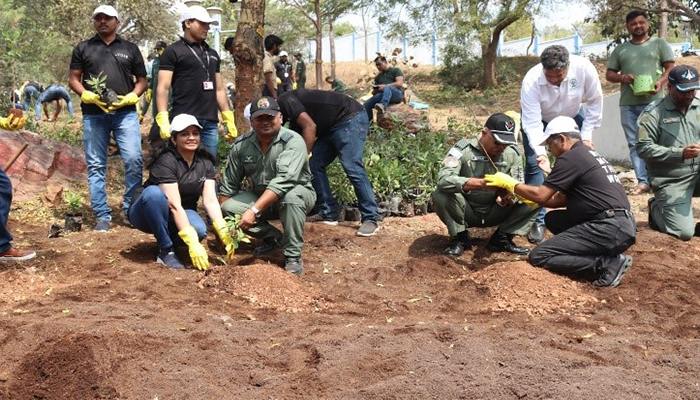 Plantation Drive in bangalore