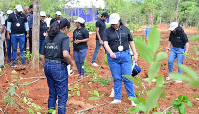 Plantation Drive in bangalore