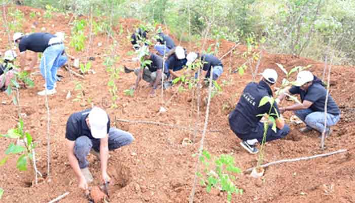 Plantation Drive in bangalore