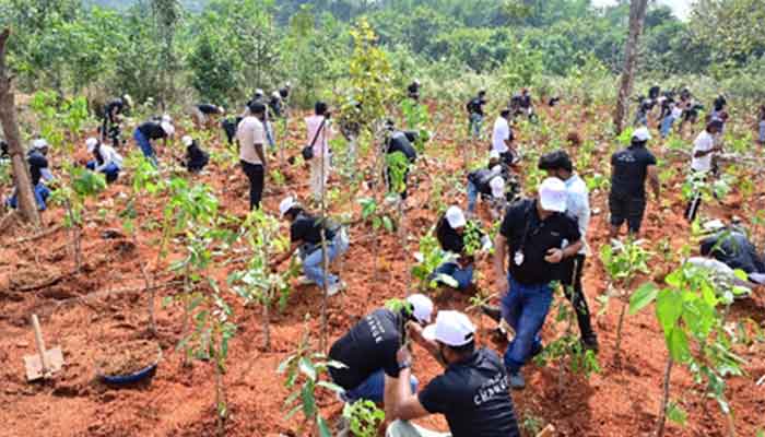 Plantation Drive in bangalore
