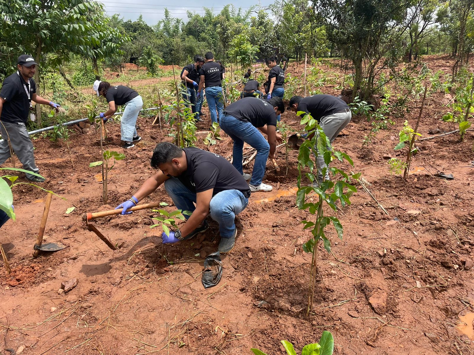 Plantation Drive in bangalore