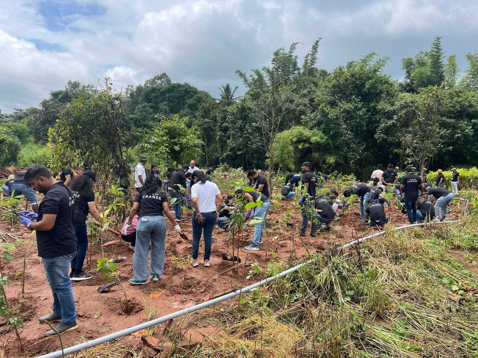 Plantation Drive in bangalore