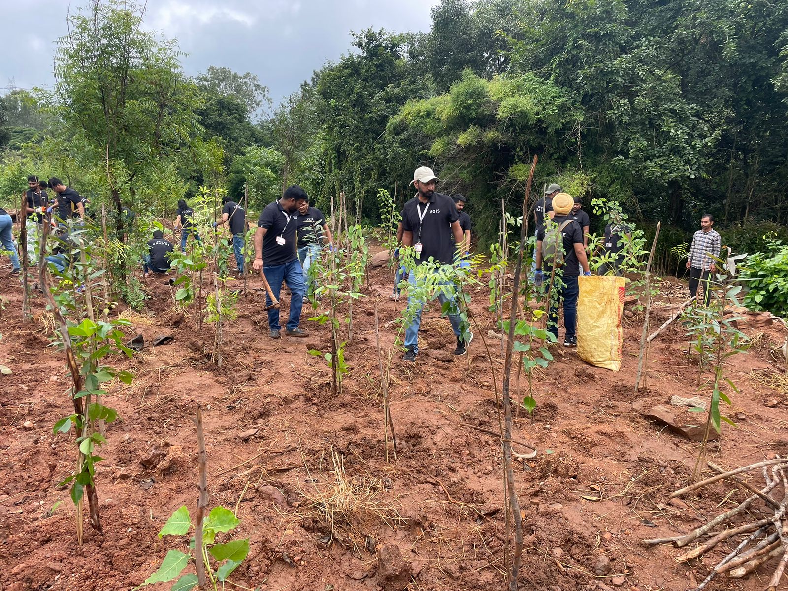 Plantation Drive in bangalore
