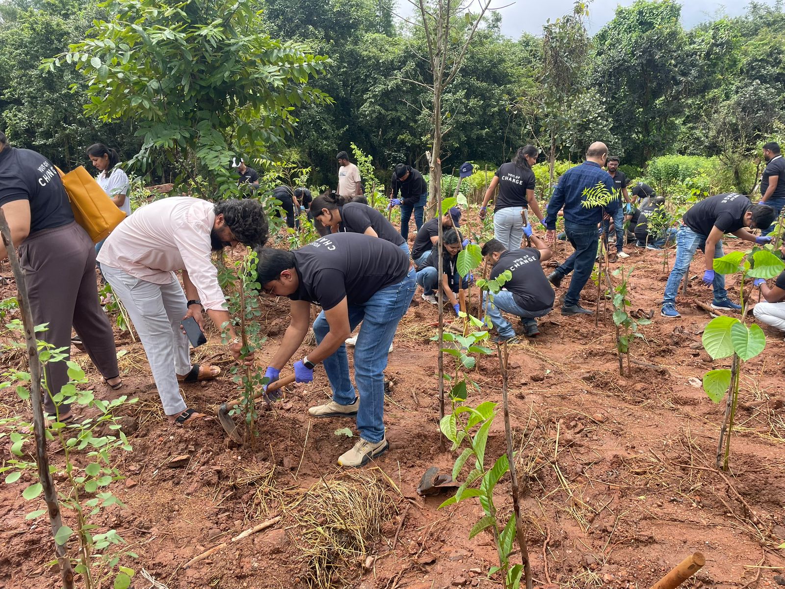 Plantation Drive in bangalore